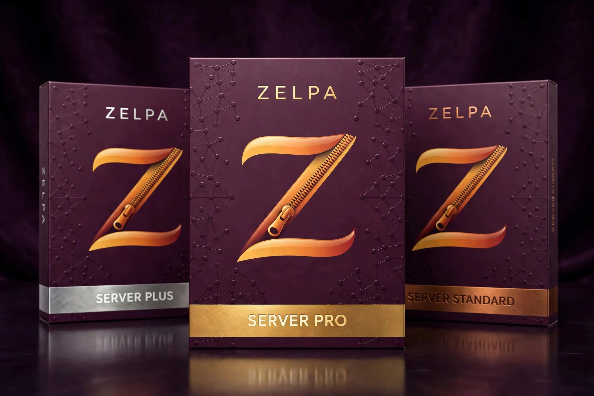 Zelpa Server plan boxes: Pro in gold at the front, Plus in silver, Standard in bronze